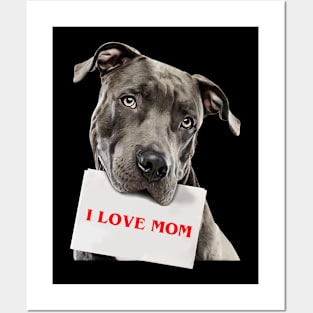 Pitbull - I love mom Posters and Art